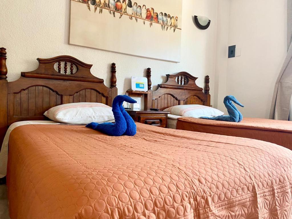 Suites Ximajo Brisas de Zicatela ภายนอก รูปภาพ